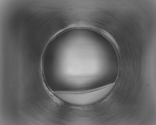X0000074041388200608211151
