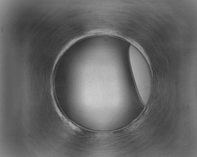 X0000074041389200608211151