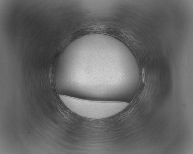 X0000074041395200608211150