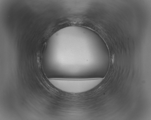 X0000074041396200608211150