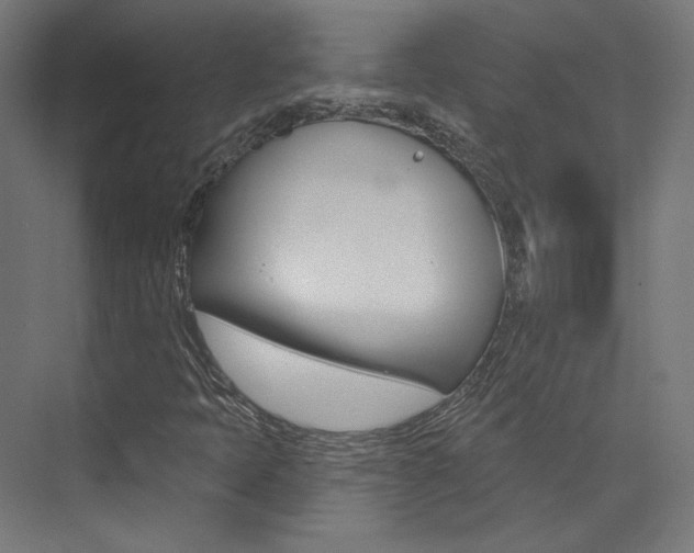 X0000074041397200608211150
