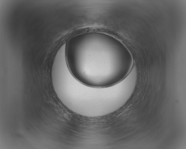 X0000074041398200608211150