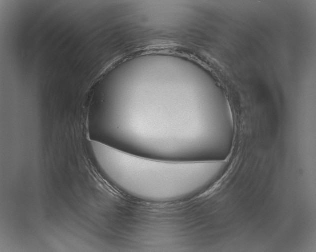 X0000074041401200608211150