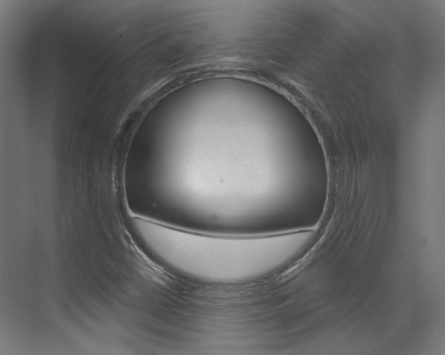 X0000074041402200608211150