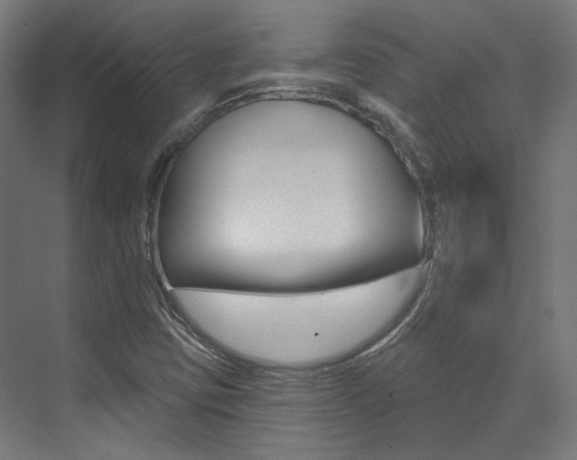 X0000074041403200608211150