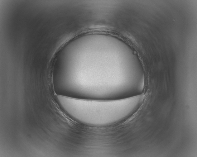 X0000074041405200608211150