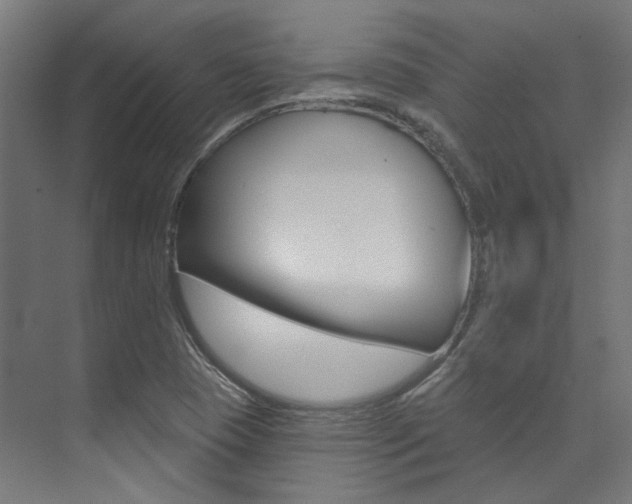 X0000074041409200608211150