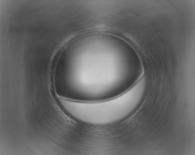 X0000074041410200608211150