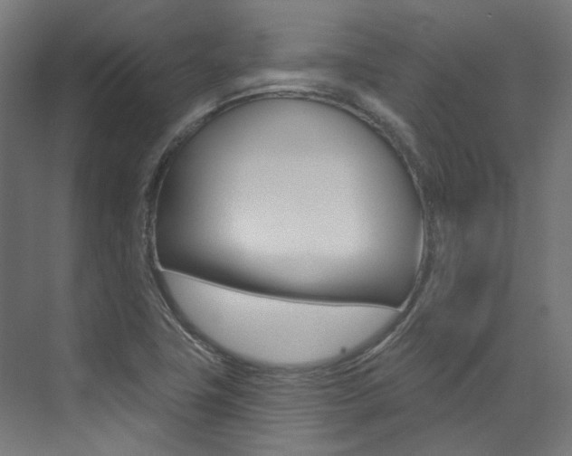 X0000074041411200608211150
