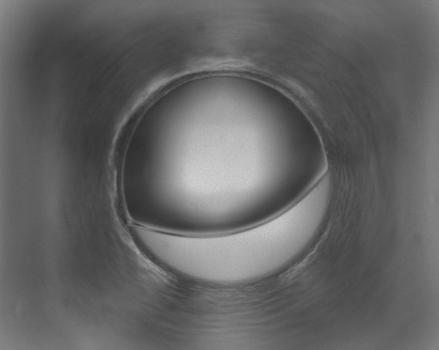 X0000074041414200608211150
