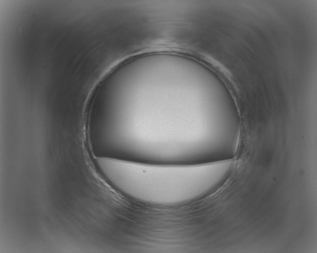 X0000074041415200608211150