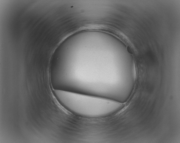 X0000074041417200608211150