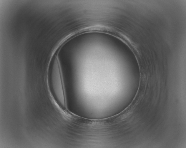 X0000074041418200608211150