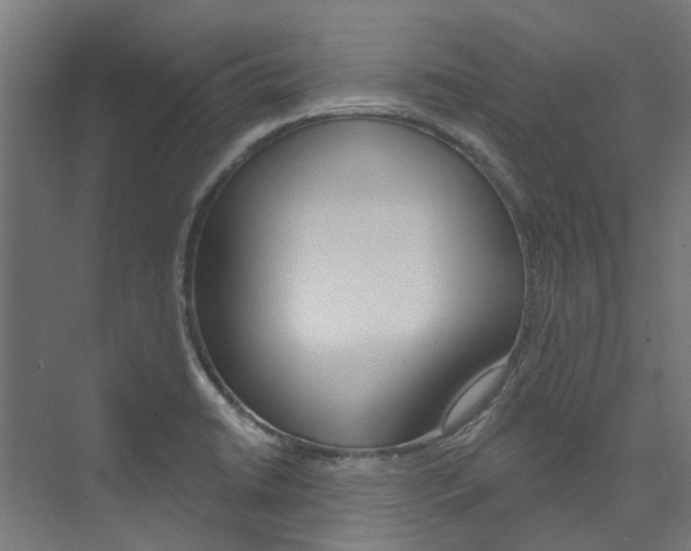 X0000074041422200608211150
