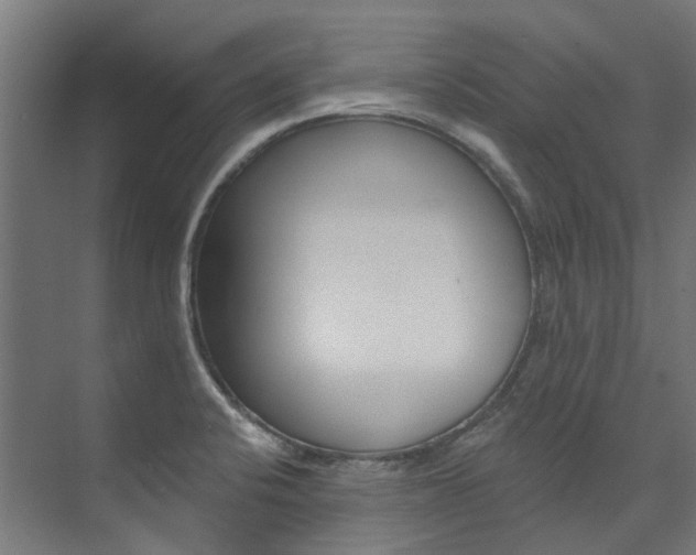 X0000074041424200608211150
