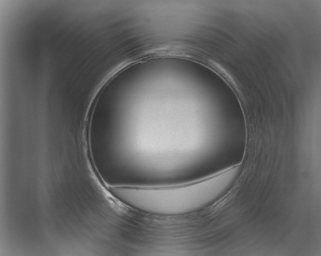 X0000074041434200608211150