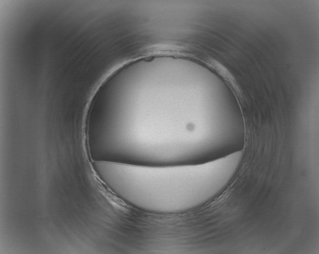 X0000074041435200608211151