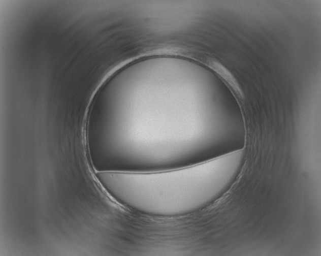 X0000074041436200608211151