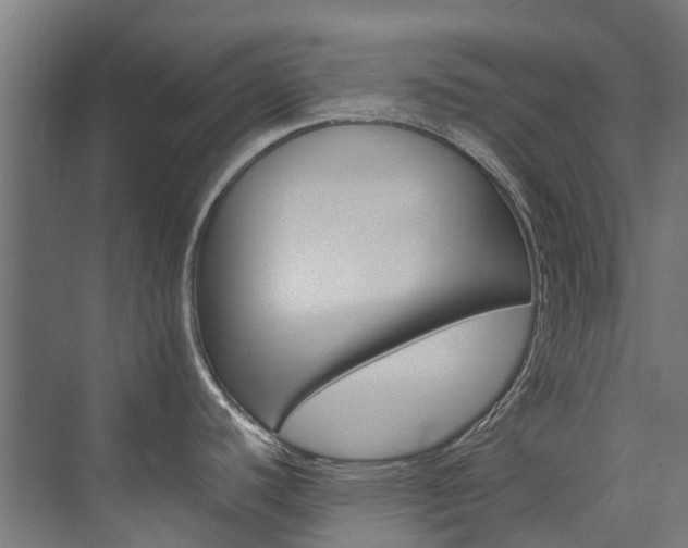 X0000074041440200608211151