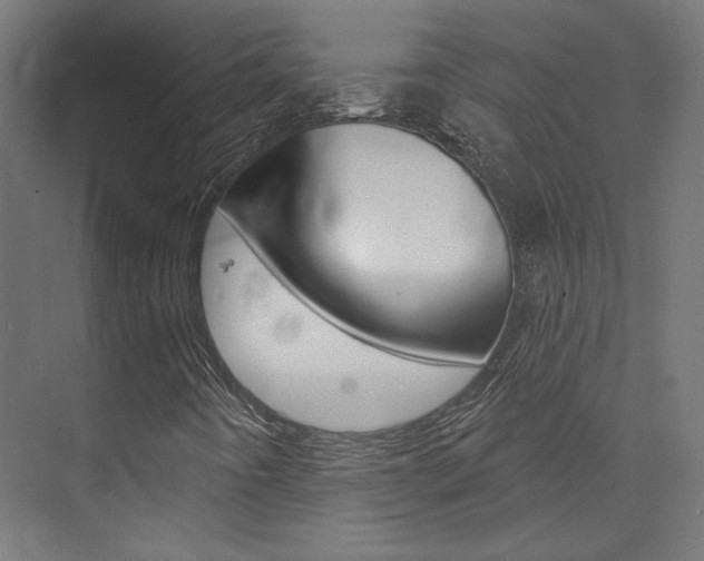 X0000074041442200608211150
