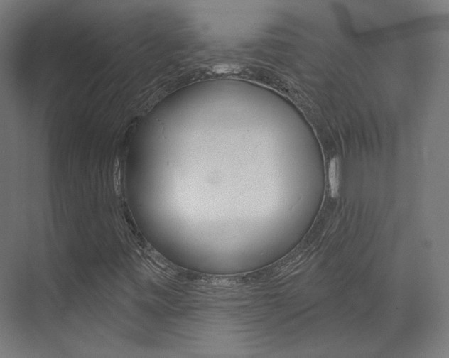 X0000074041443200608211150