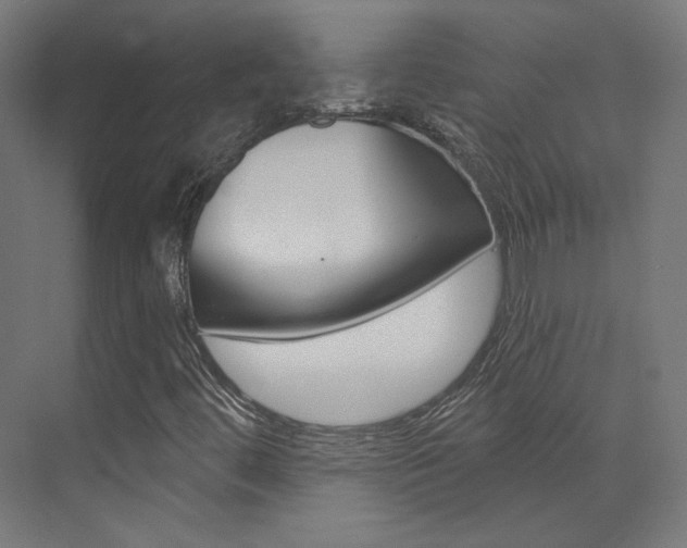 X0000074041444200608211150