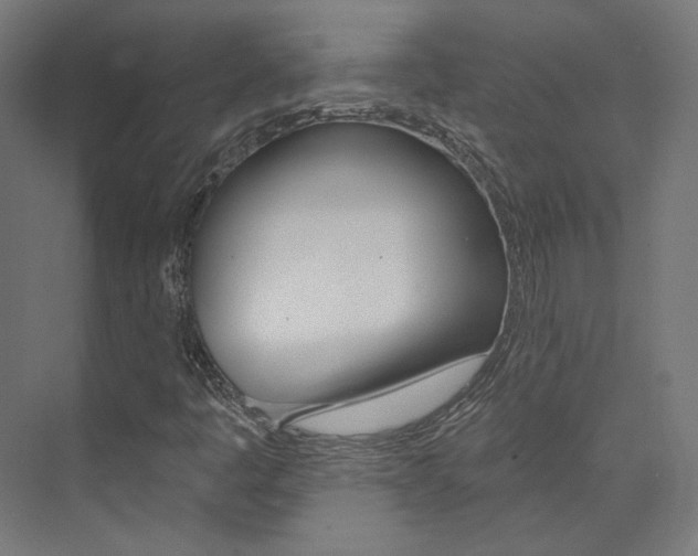X0000074041445200608211150