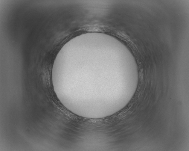 X0000074041446200608211150