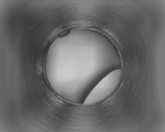 X0000074041451200608211150