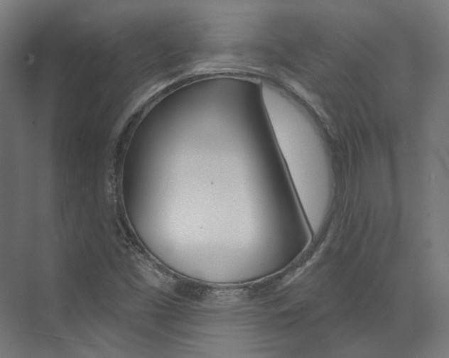X0000074041453200608211150