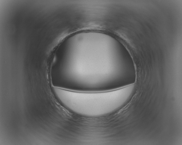 X0000074041455200608211150
