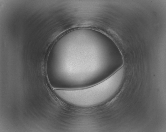 X0000074041457200608211150
