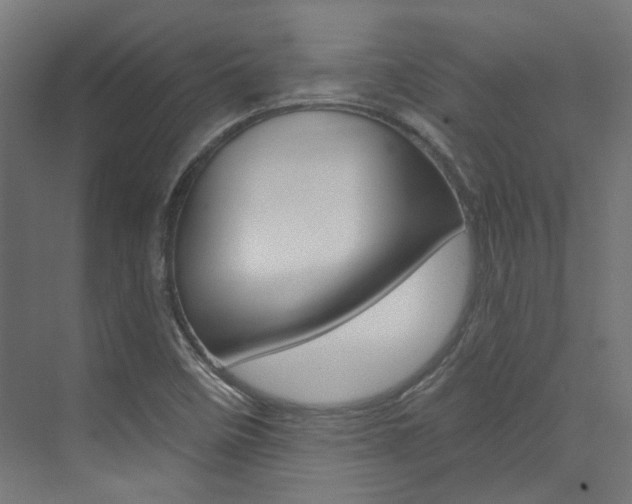 X0000074041458200608211150