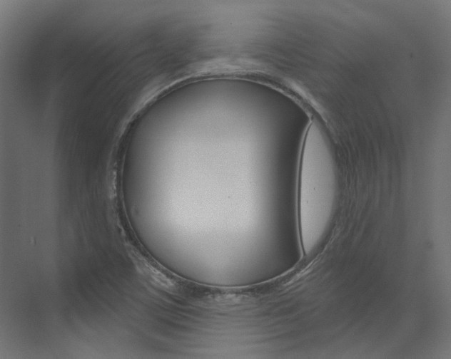 X0000074041459200608211149