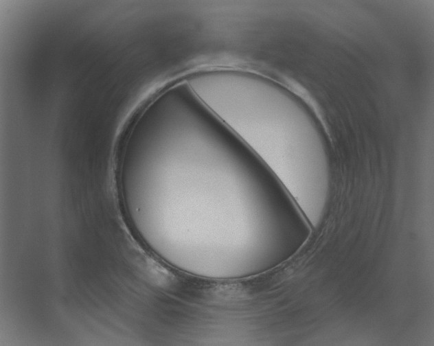 X0000074041464200608211149