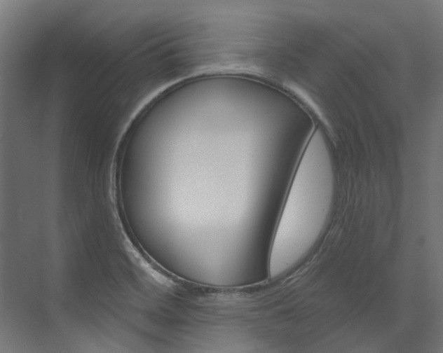 X0000074041468200608211149