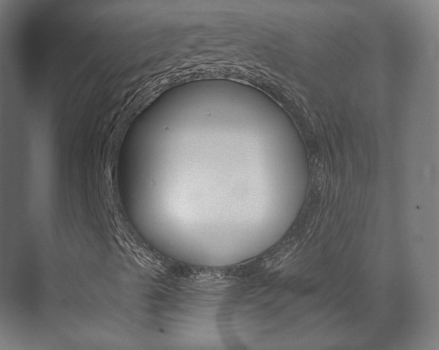 X0000074041489200608211148
