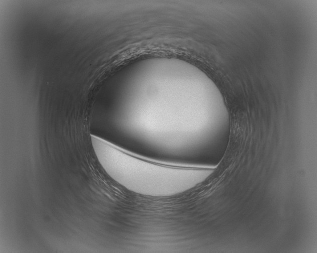 X0000074041490200608211148