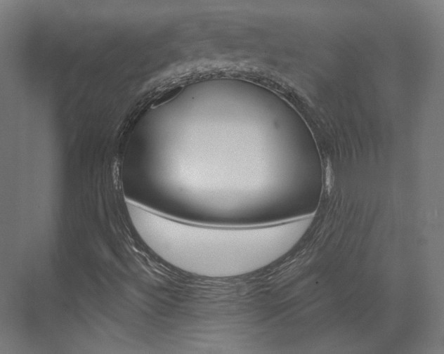 X0000074041492200608211148