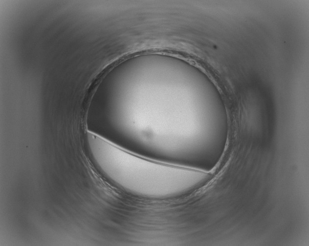 X0000074041497200608211148