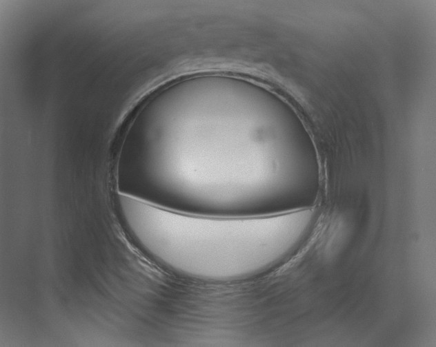 X0000074041501200608211148