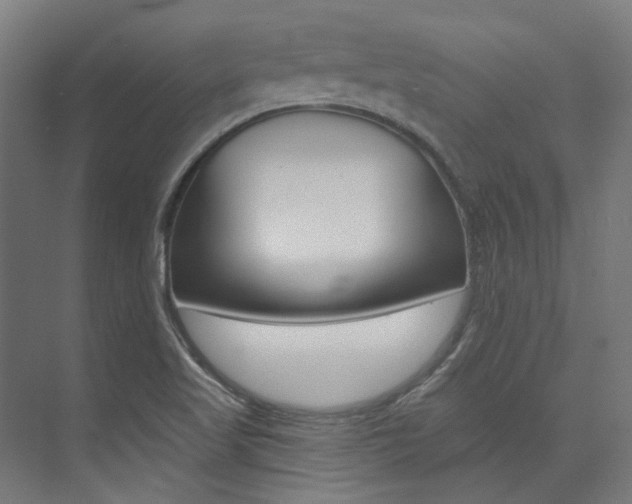 X0000074041509200608211149