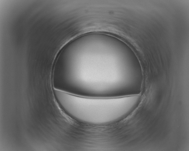 X0000074041513200608211149