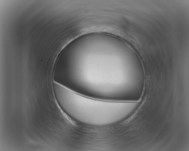 X0000074041521200608211149