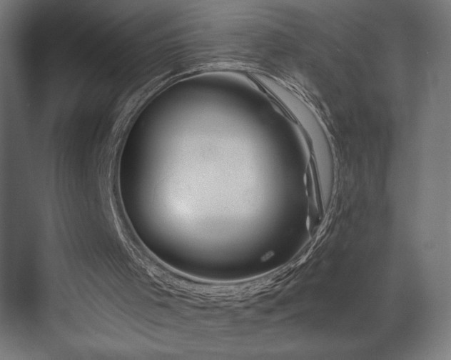 X0000074040001200608211530