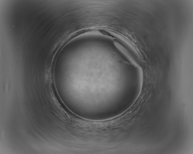 X0000074040002200608211530