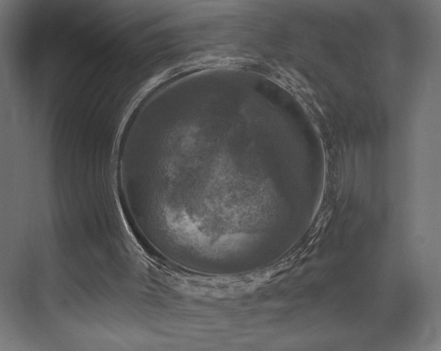 X0000074040003200608211530