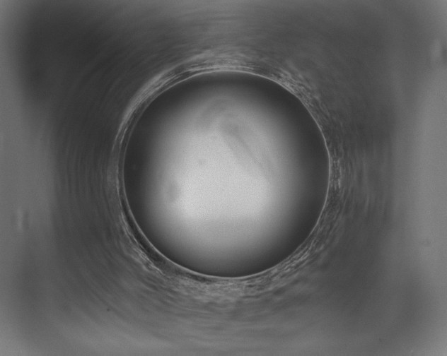 X0000074040004200608211530