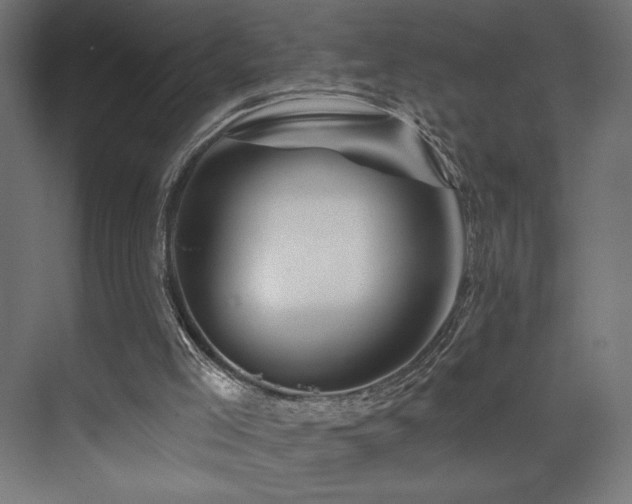 X0000074040005200608211530