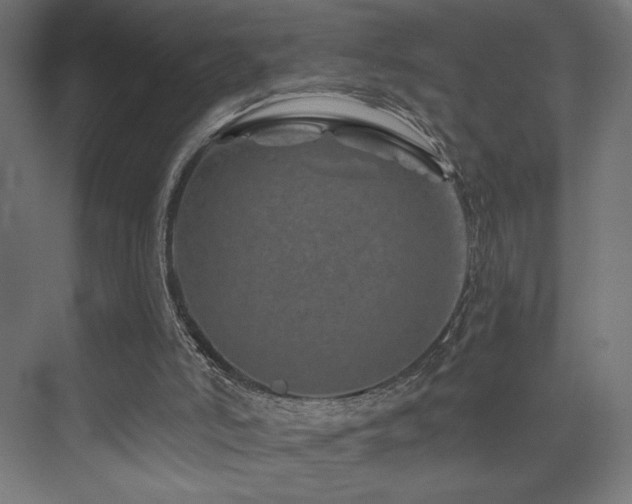 X0000074040006200608211530